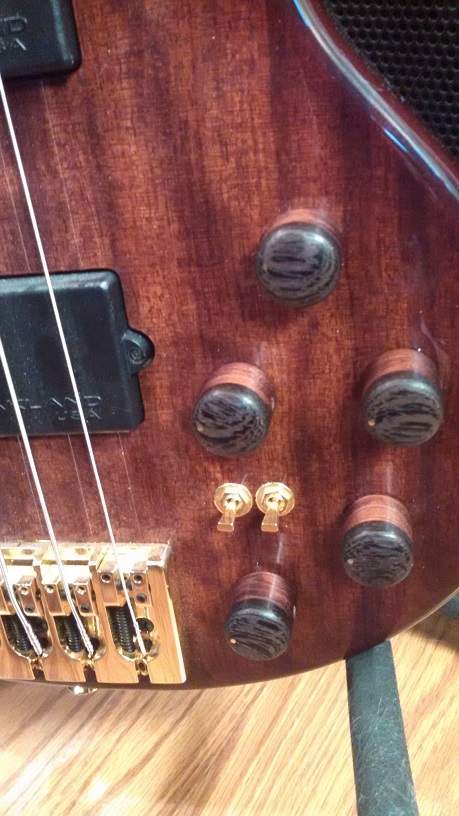 bubinga frettless -2.jpg