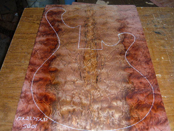 Bubinga_ExtremeFigure_FullPanel.jpg