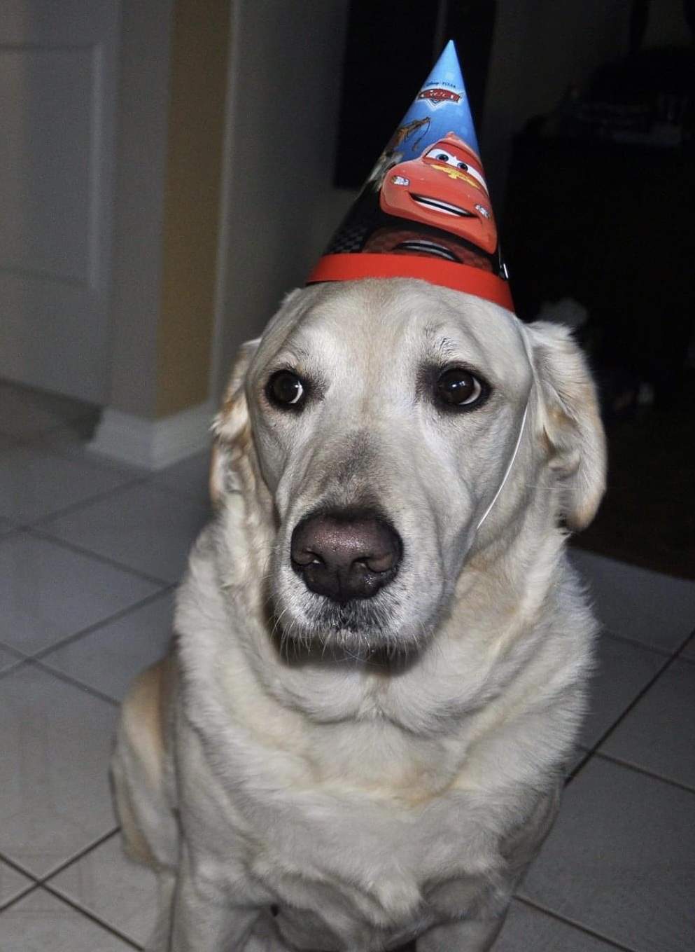 bubky b day.jpg