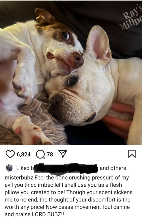 bubz.jpg