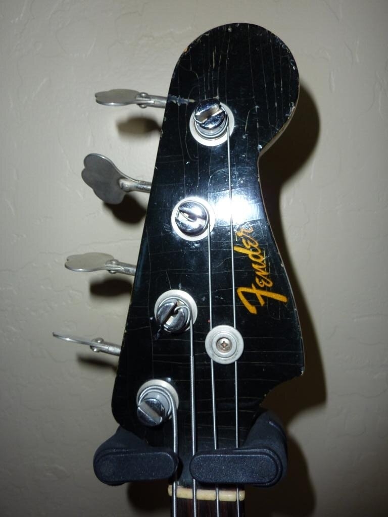 Bucephylus Headstock for Web.jpeg