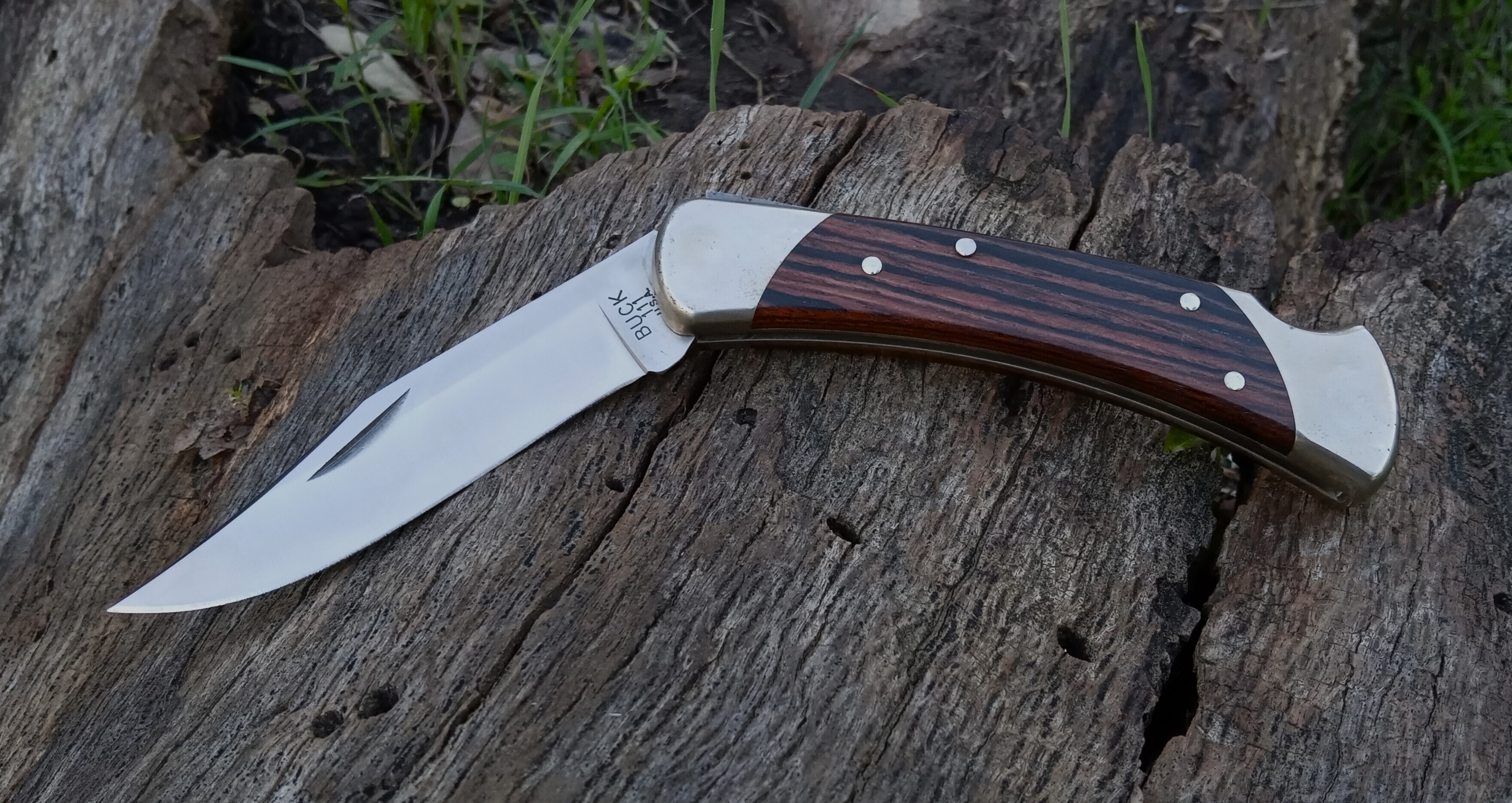 Buck 111-a.jpg