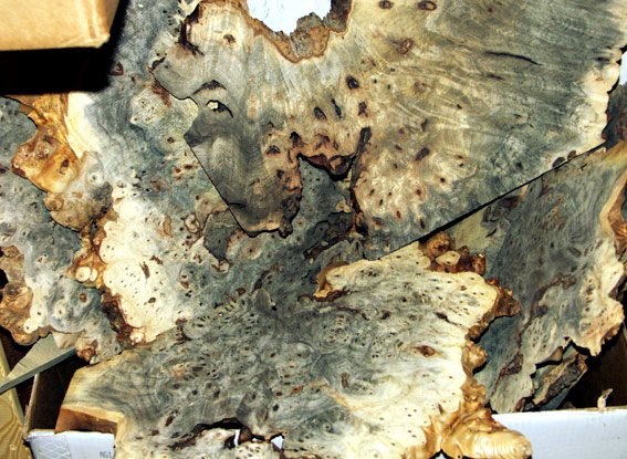 buck-eye-burls.jpg