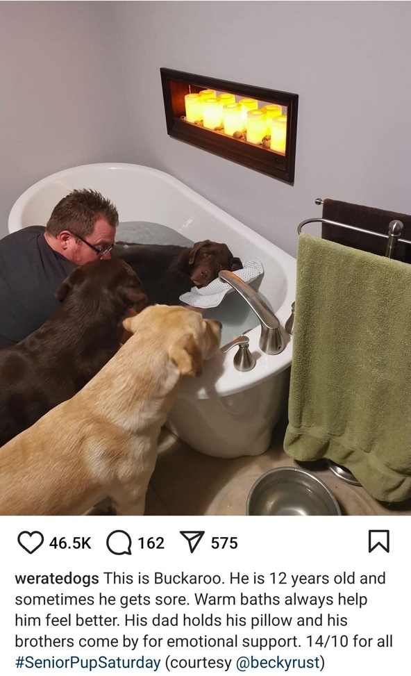 buckaroo dog.jpg