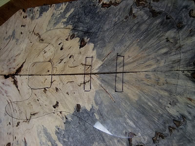 BuckeyeBurl.jpg