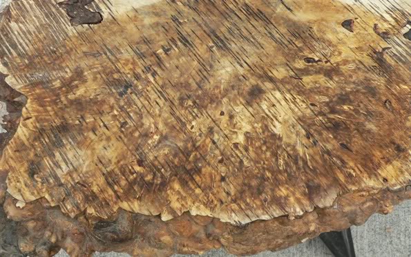 BuckeyeBurl_1.jpg