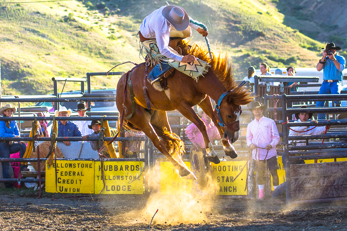 Bucking-Bronco.jpg