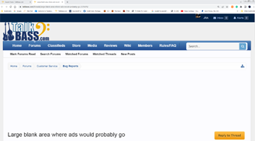 bug report.PNG