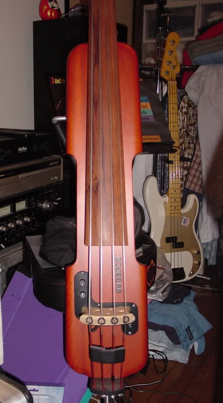 BugBass.jpg