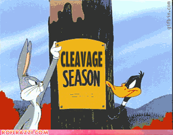 BugsBunnyandDaffyDuck_zps24c97434.gif