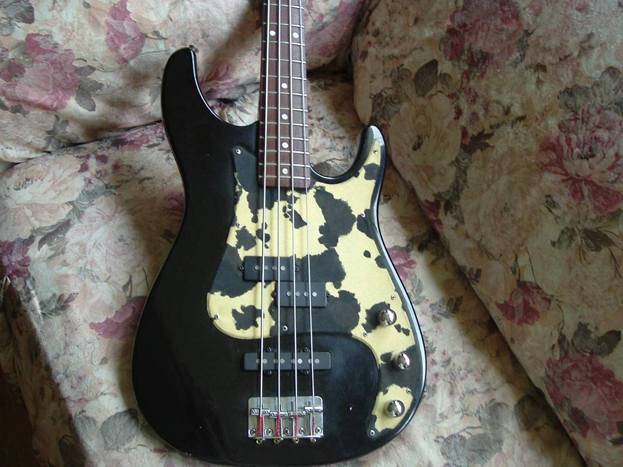 bull 001.JPG