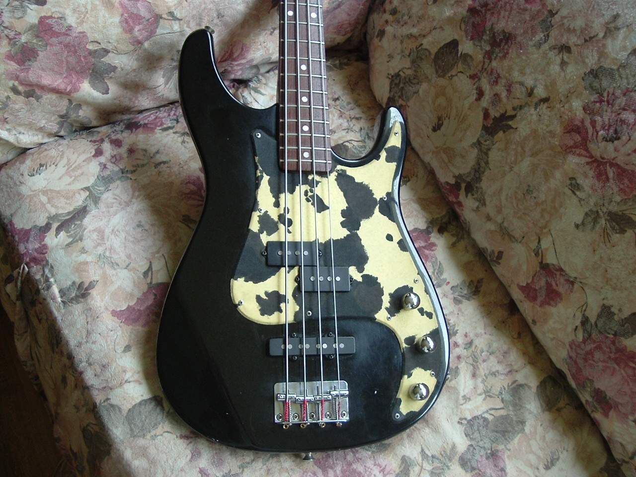 bull 002.JPG