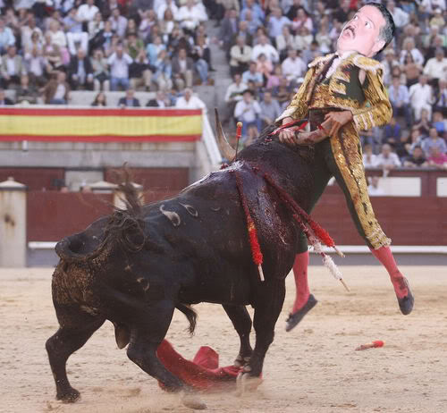 Bull.jpg