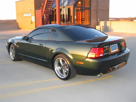 Bullitt.jpg