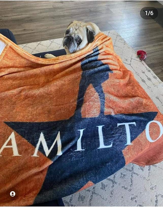 bully hamilton.jpg