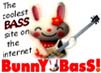 bunny.jpg