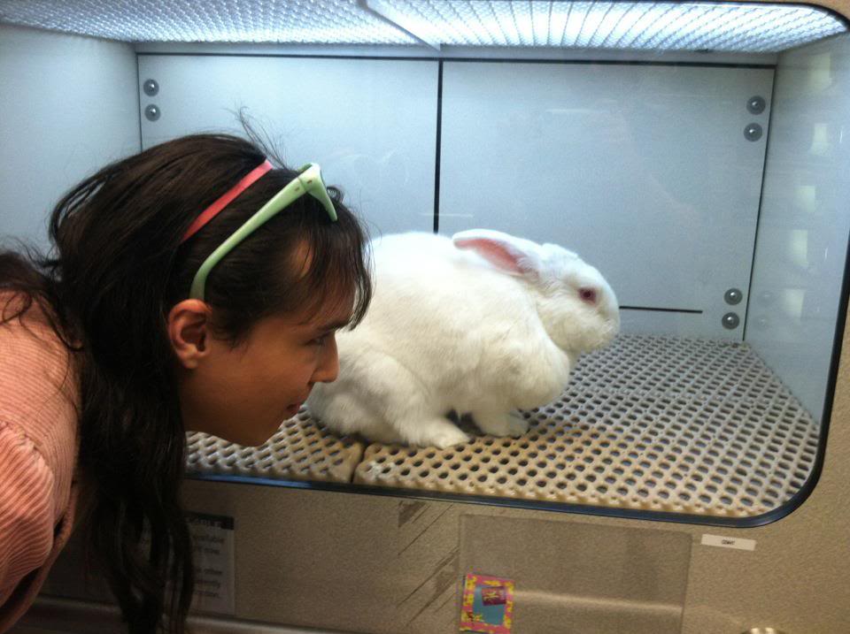 BUNNY.jpg