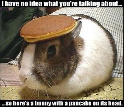 bunny1.jpg