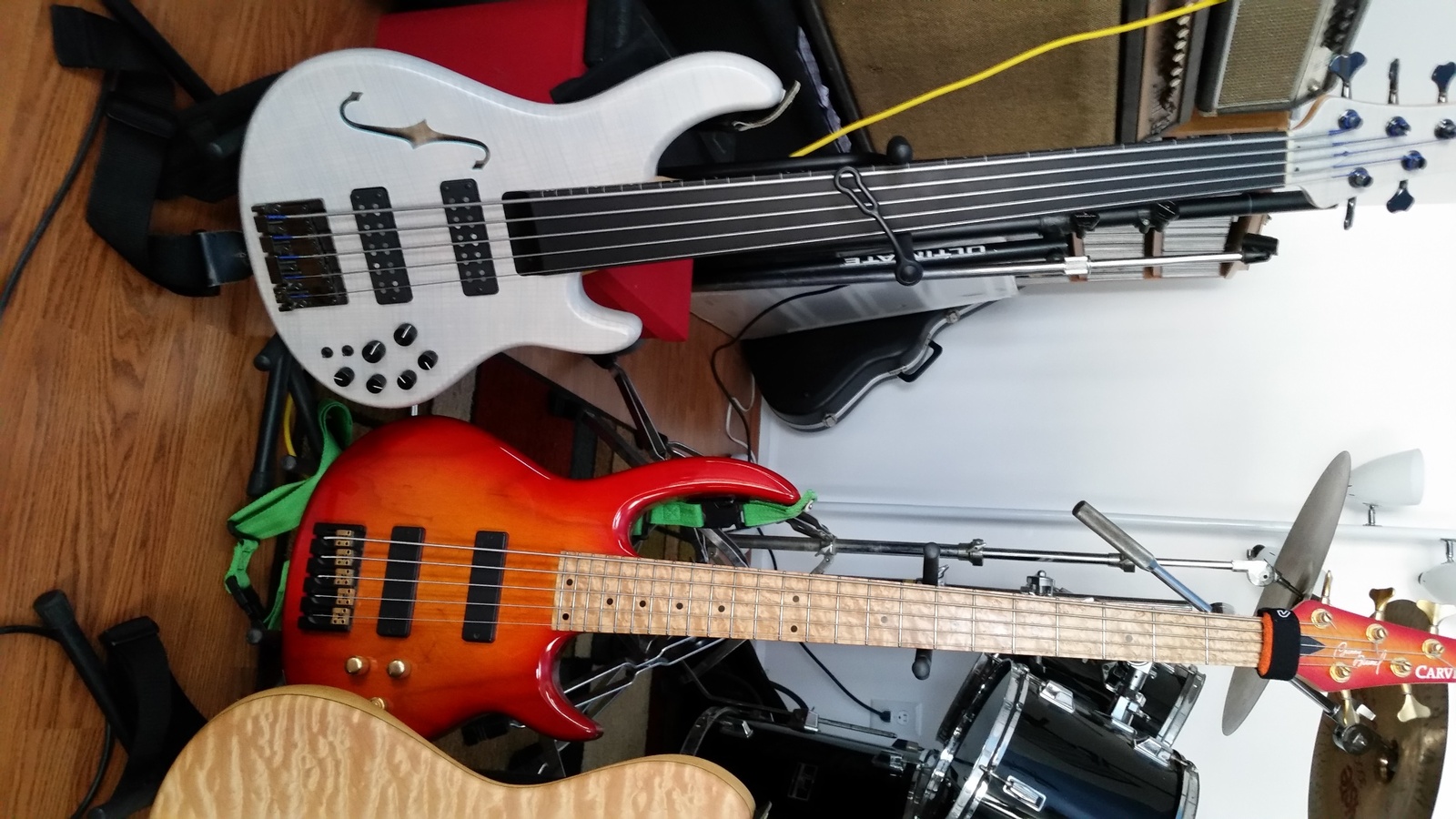 Bunny_fretless.jpg