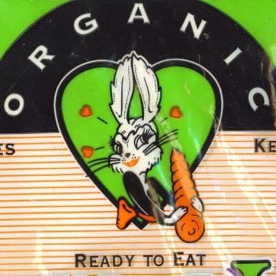 bunny_luv_logo.jpg