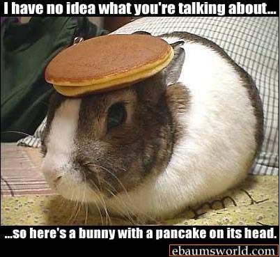 bunnycake.jpg