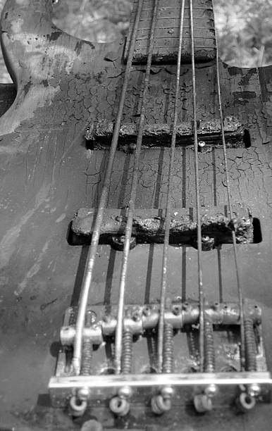 burned bass.jpg