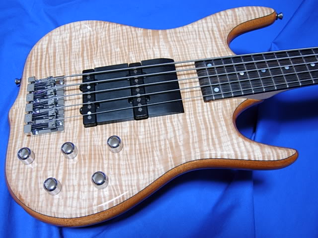 BURNERBASS06.jpg