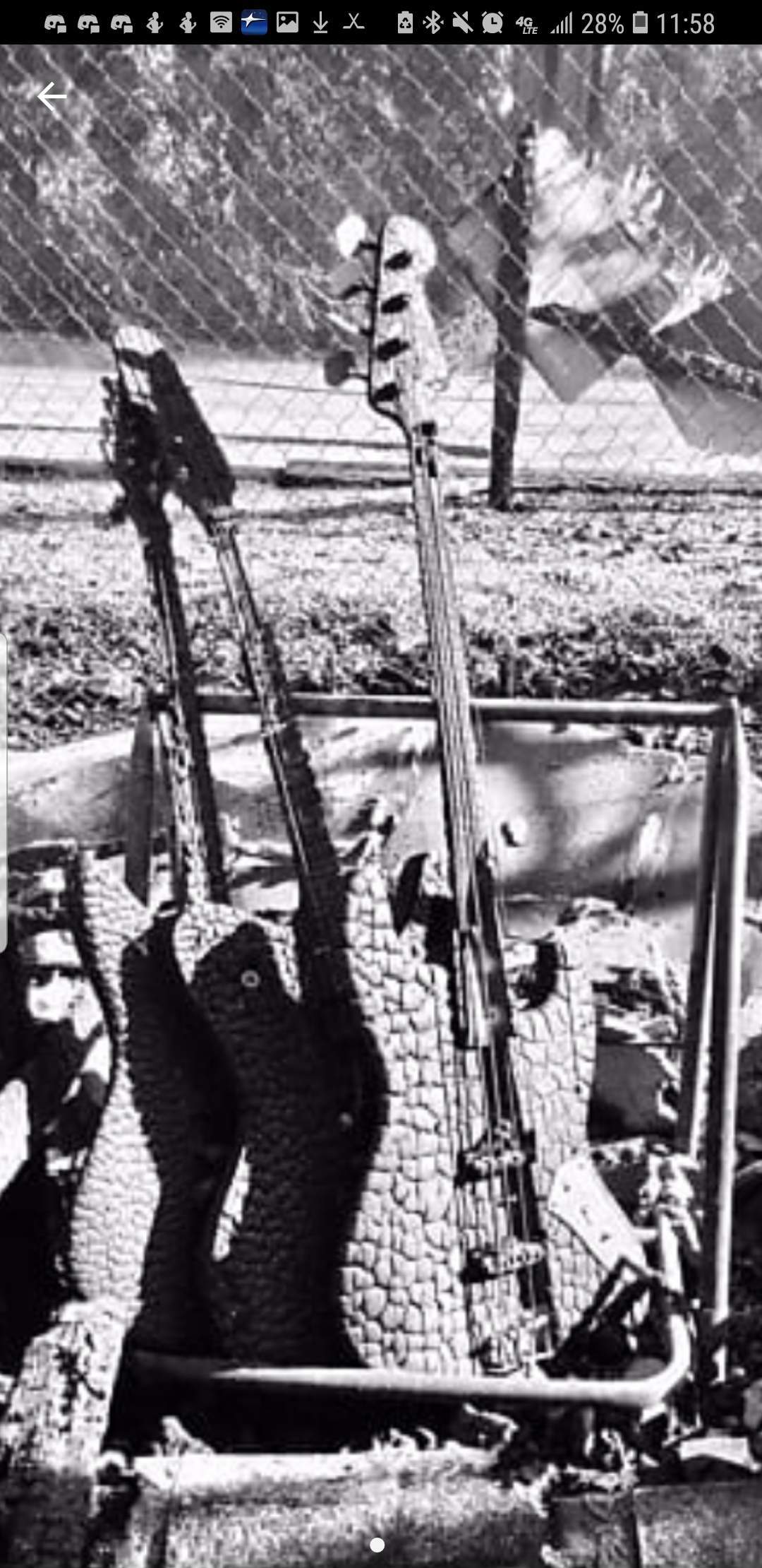 BURNT BASSES IN HOUSE FIRE.jpeg