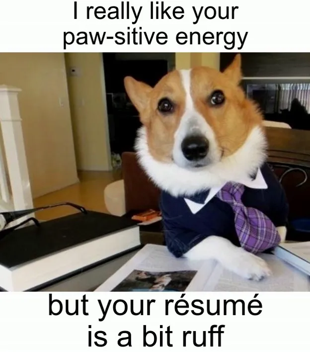 business-dog-meme-template-regular-84ff3e73-4084152525.webp