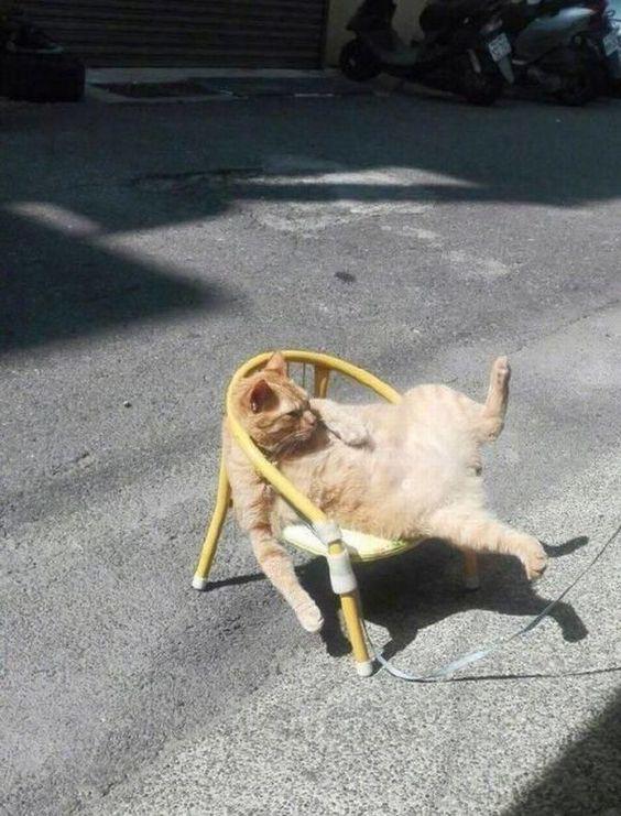 Busy day.jpeg