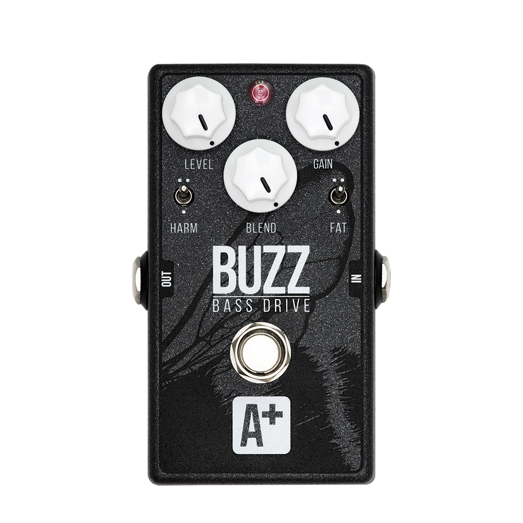 Buzz_1024.jpg