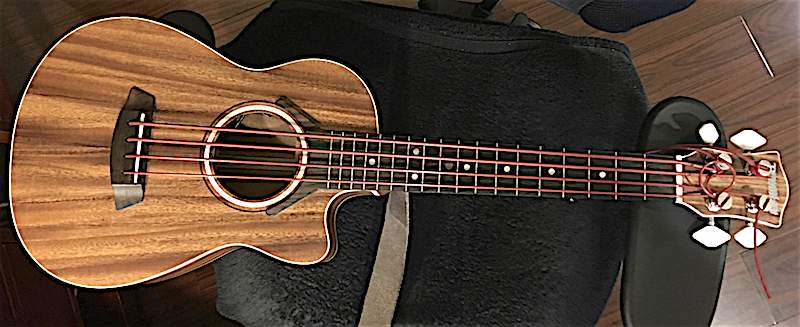 BWA bass uke Elastomeric 800.jpg