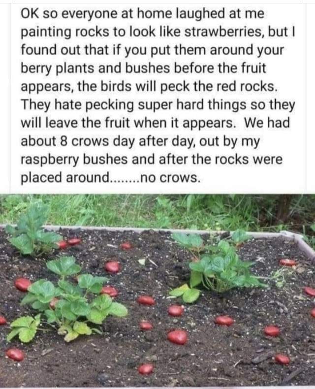 C11C3462-5920-4529-88B8-26C8ED57AB75.jpeg