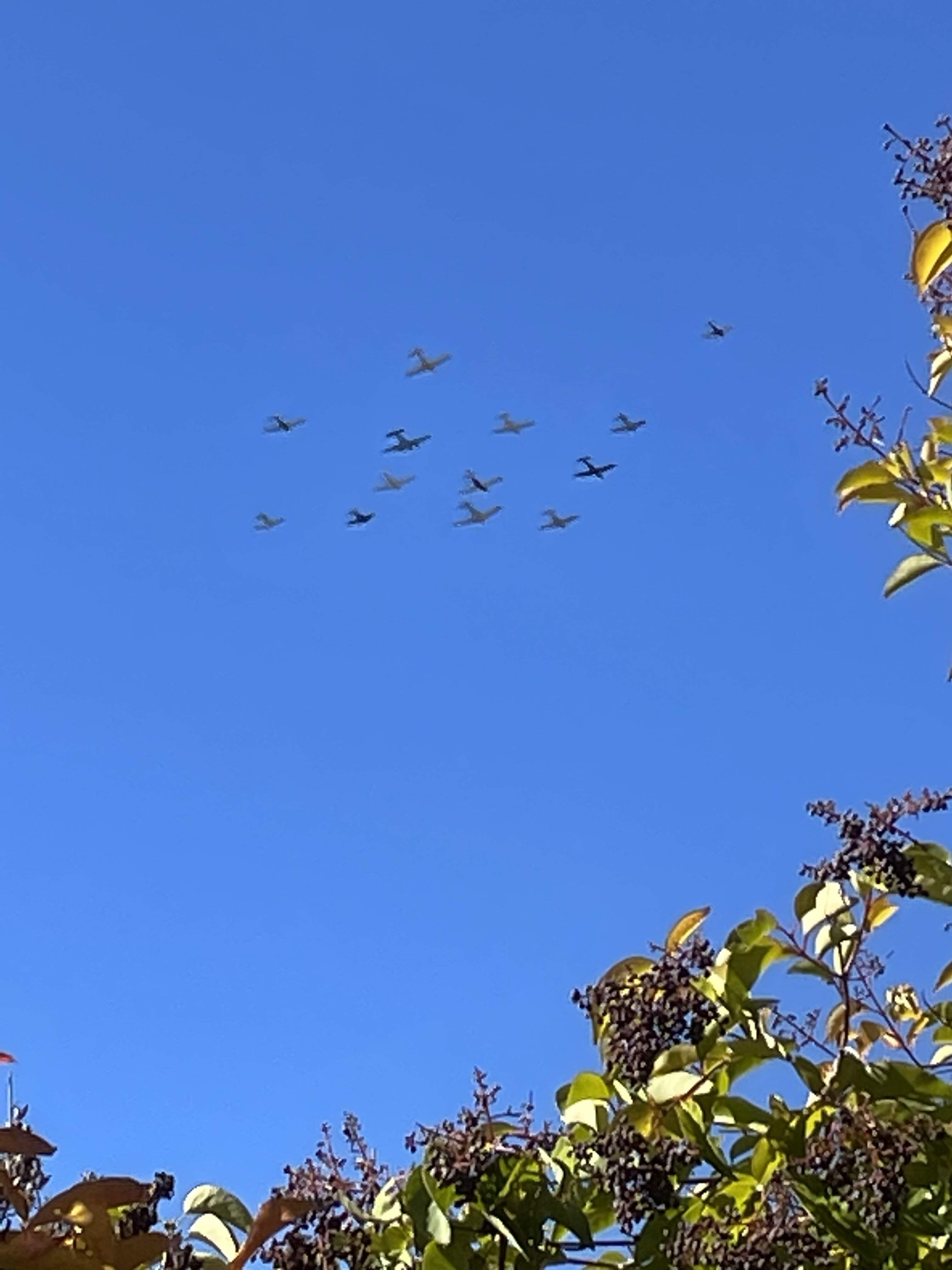 C132650F-0AB0-4F3E-A1A1-F65E1DF08CE7.jpeg