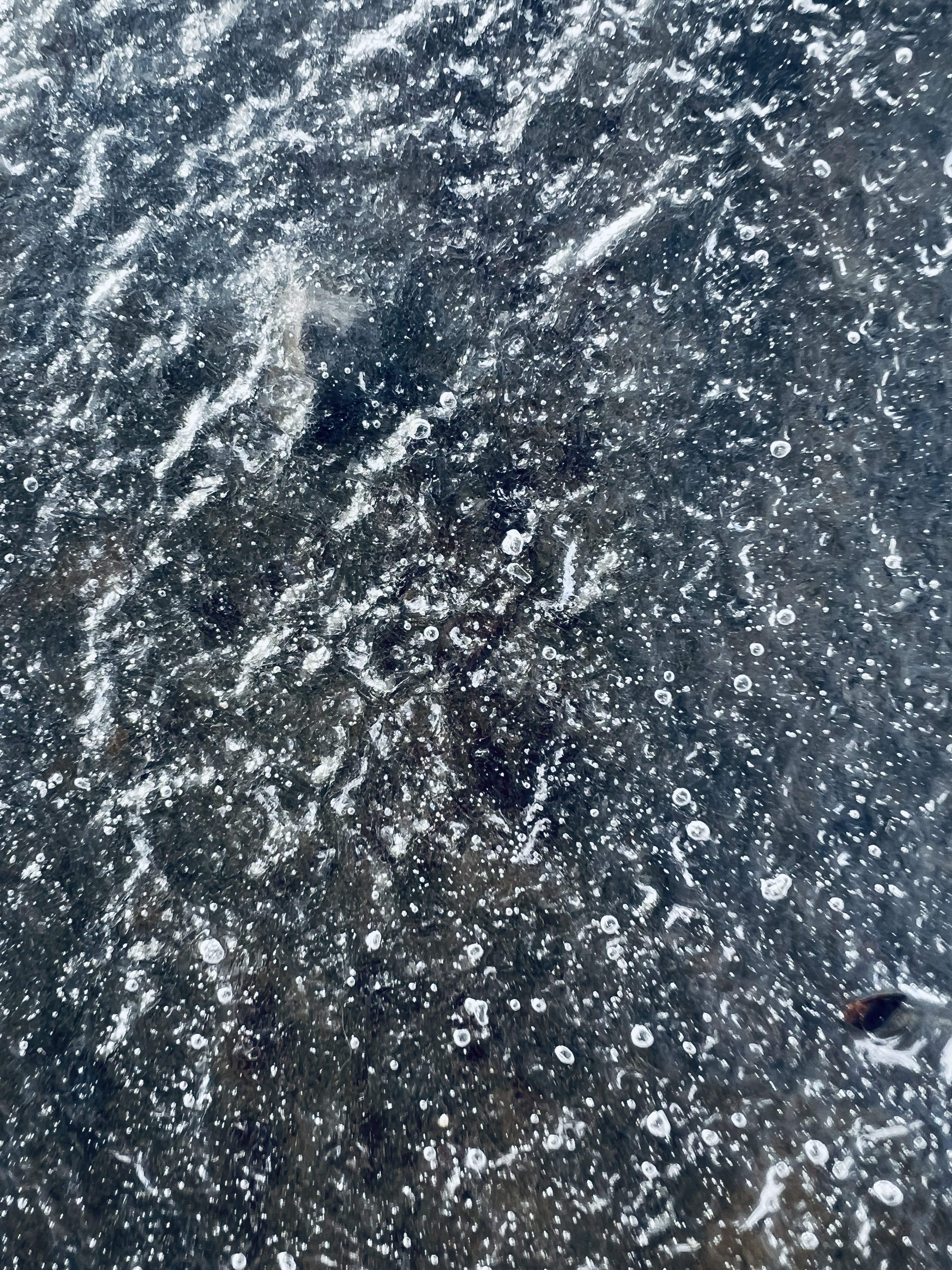 C2D2EFBF-EAA8-4445-A5A1-D73F320F978F.jpeg
