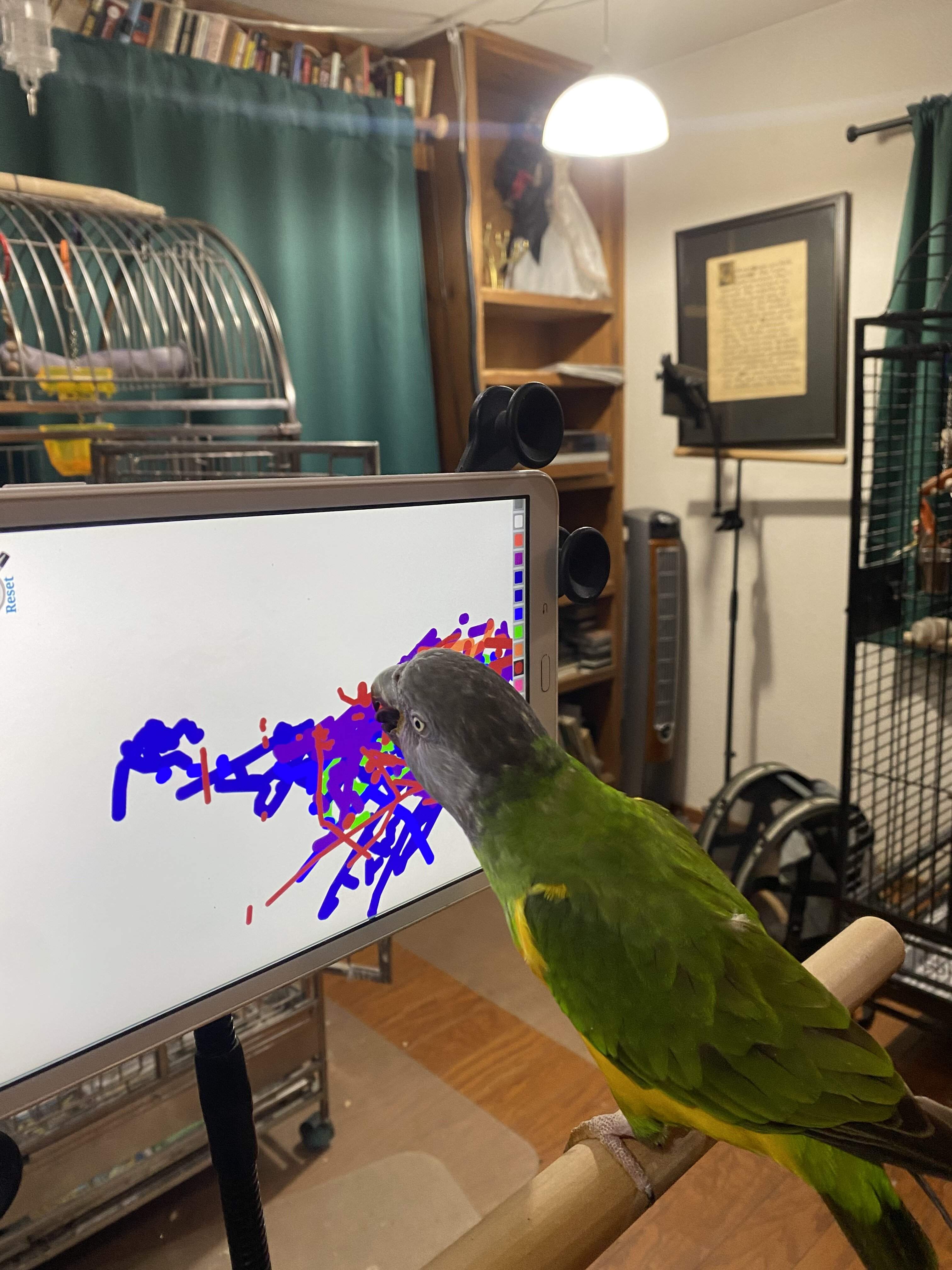 C4712094-5EFB-4256-8105-9AA1D0E974C1.jpeg
