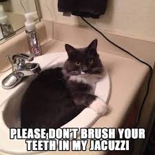 C473CE1F-2429-47D5-A373-44969125F4EC.jpeg