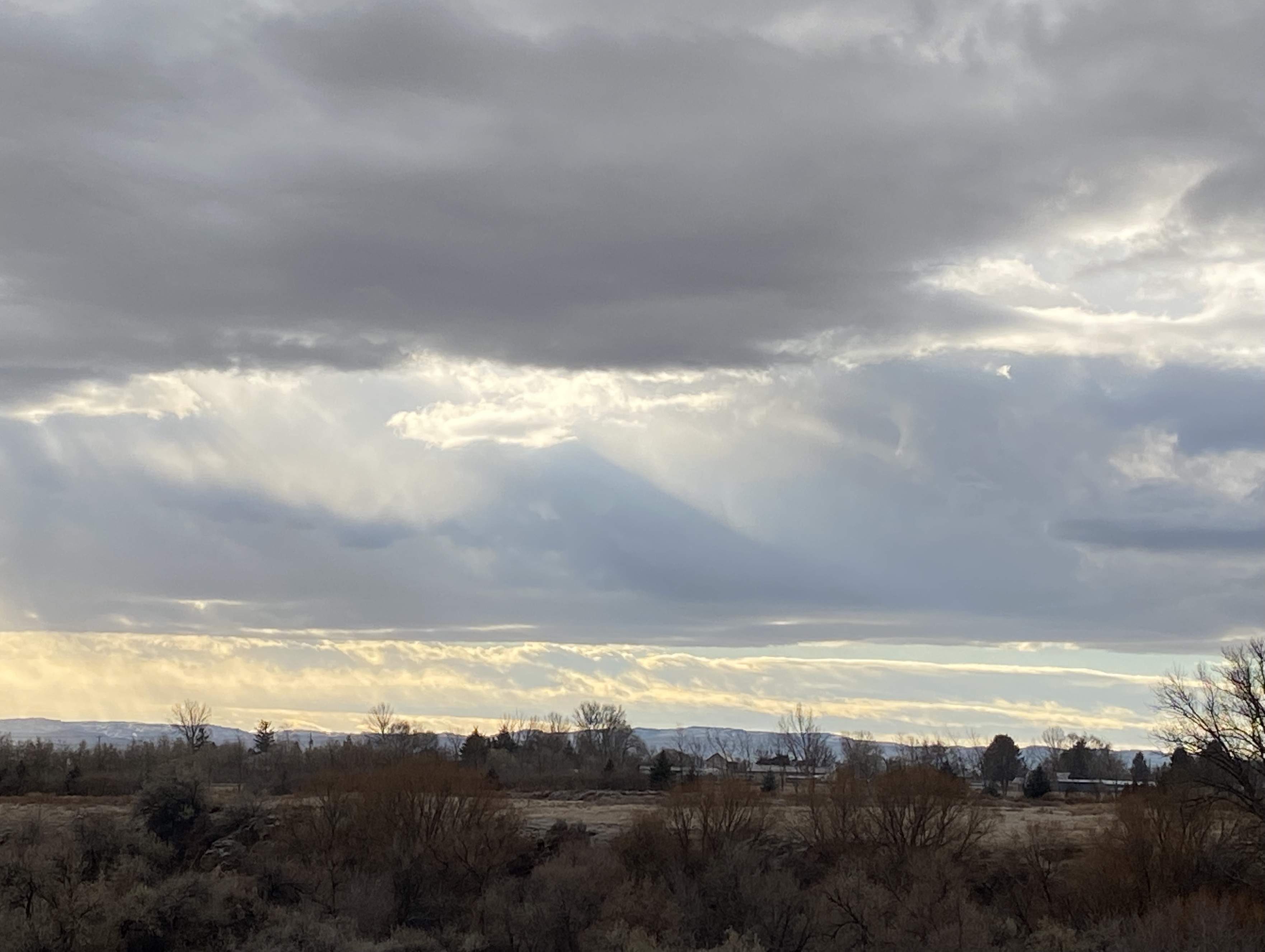 C4752EE2-8C86-4923-A6D3-F2D8170E5A66.jpeg