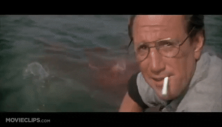 C47DC560-4A09-46C2-911D-B84B4712CE27.gif