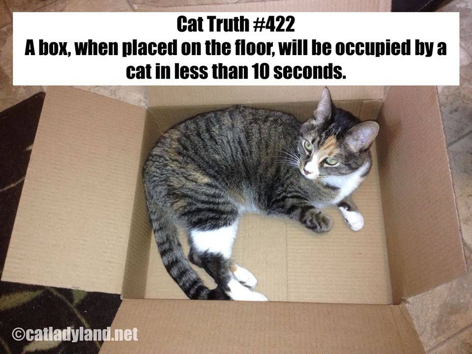 C5CB421F-67D9-4FD0-906B-AF073DEF63F4.jpeg