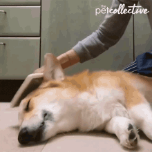 C5D237F1-919B-4424-A29E-A9CA99C4B9BE.gif