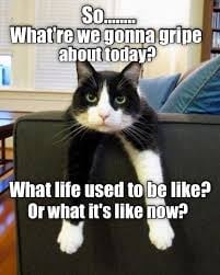 C5EE55D7-C657-416F-8D23-27F13A4F0603.jpeg