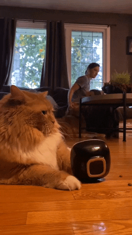 C7A9E9C3-01E7-4C0D-82A2-F2BEDCF84F1C.gif