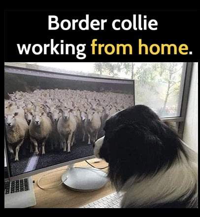 C7D07829-C85A-4B0D-B99F-616353790D52.jpeg