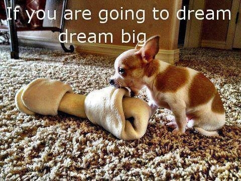 c8b054e59fb66f6623182d4dcba10872-1269381785.jpg