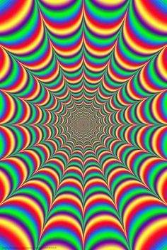 C8EA33D0-4E2D-400E-9A07-E337E7288038.jpeg