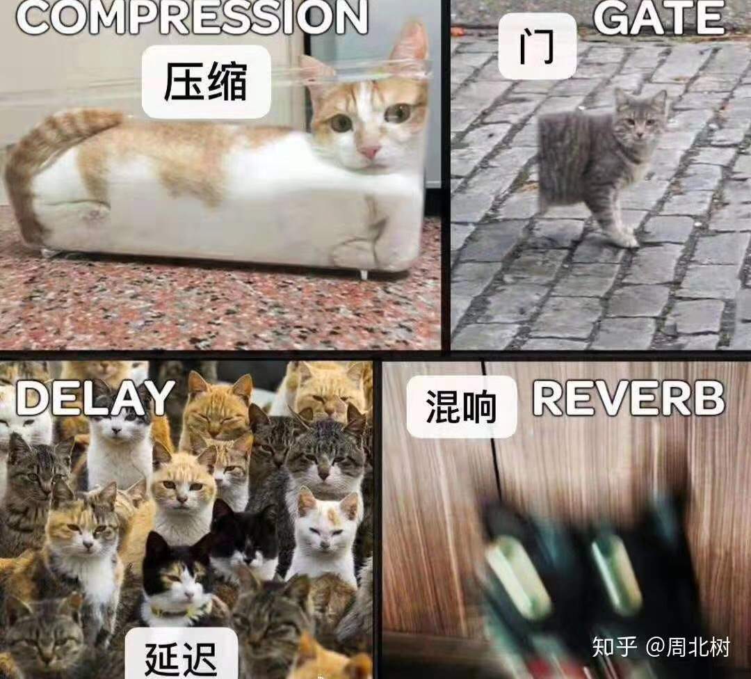C8EF321E-FC93-4703-BD59-9BCB03B086AE.jpeg