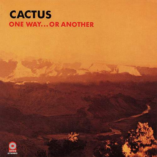 cactus-one-way-or-another.jpg