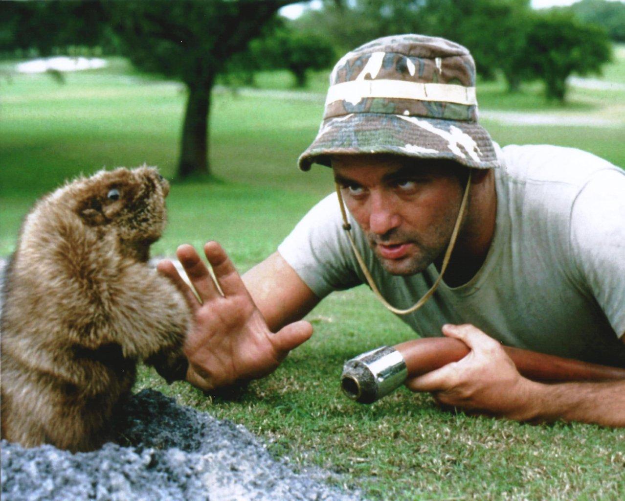 caddyshack-gopher-clip-art-4.jpg