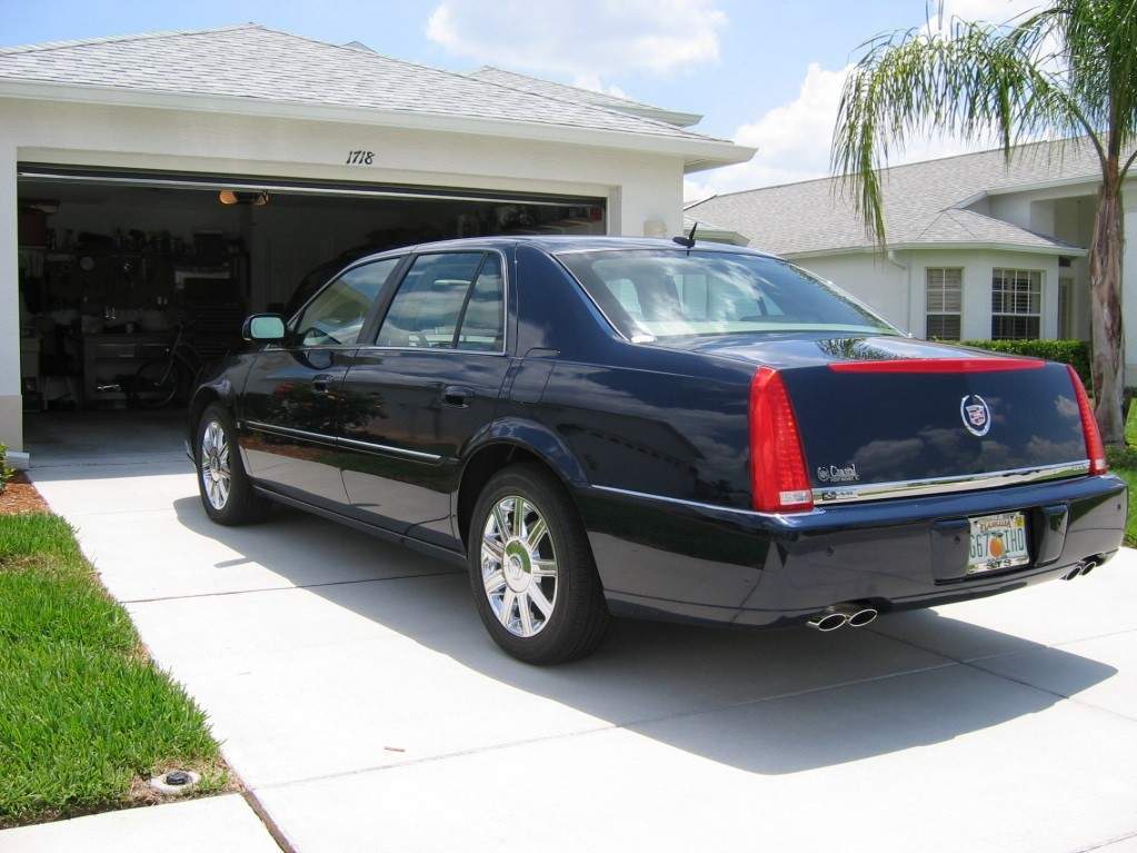 cadi13.jpg